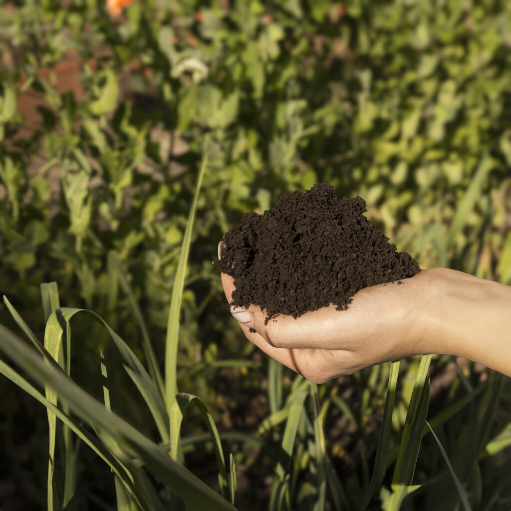 Mejora el rendimiento de tus fincas agrícolas con humus de lombriz - Crickwoo 