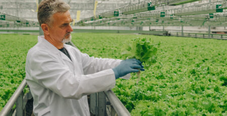 Agricultura Ecológica: Enfoques y Conceptos Clave en la Mejora de la Sostenibilidad Agrícola con Humus de Lombriz