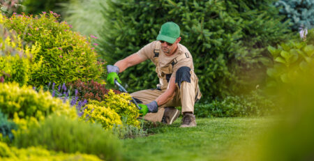 El secreto de los expertos en jardineria