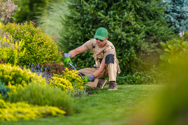 El secreto de los expertos en jardineria