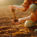 Cómo Optimizar el Uso del Humus de Lombriz en Diferentes Tipos de Suelo: Guía Práctica para Agricultores Ecológicos